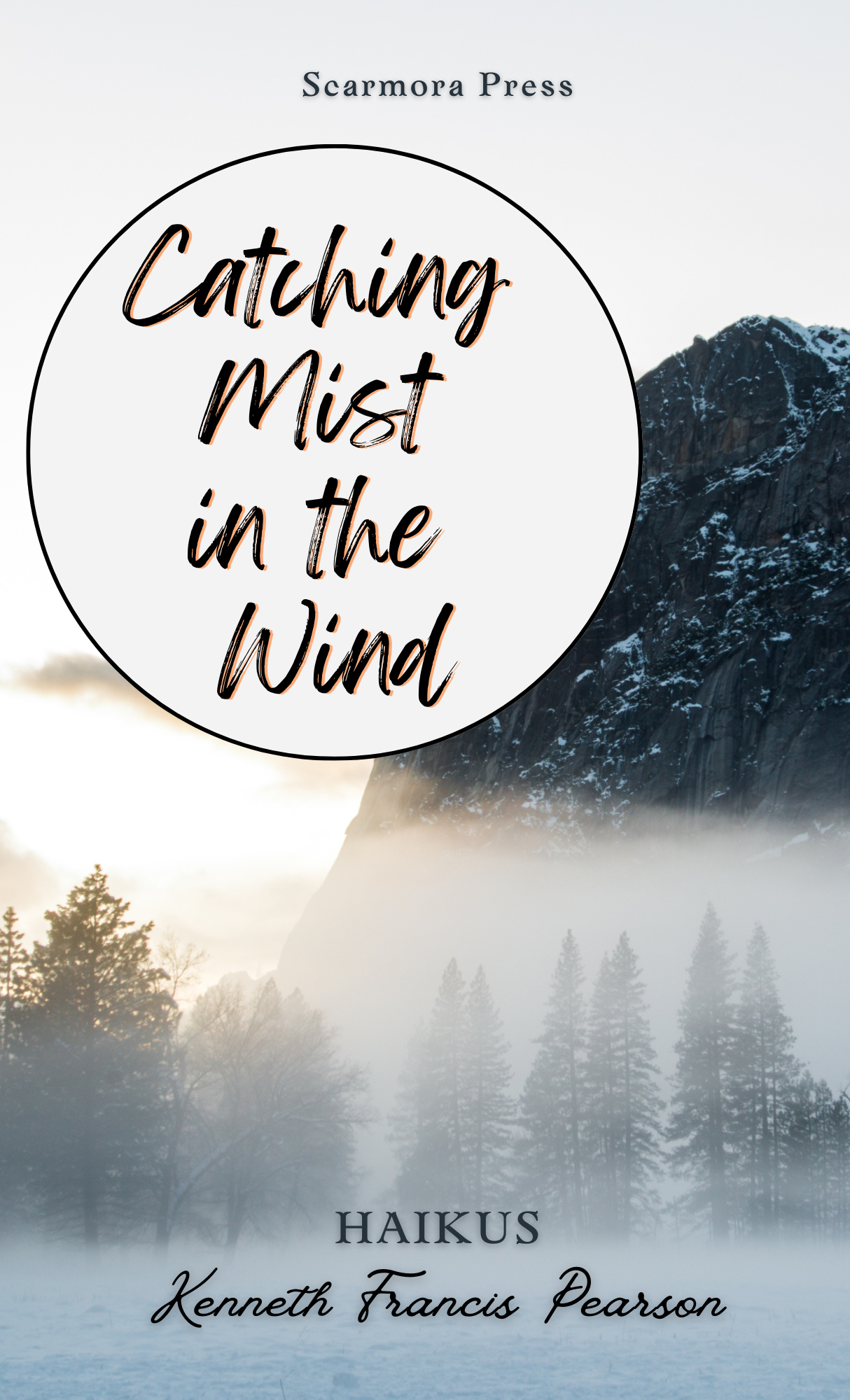 Catching Mist in the Wind book cover